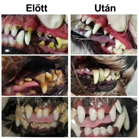✨🐶🐱[ Hivatalos Áruház] Healrize® Állati Fogászati és Emésztési Egészséget Támogató Orális Folyadék – Friss lehelet, fogkő eltávolítása és ínyregeneráció támogatása, a fogak stabilizálása (macskáknak és kutyáknak) – Ma 70% kedvezmény!