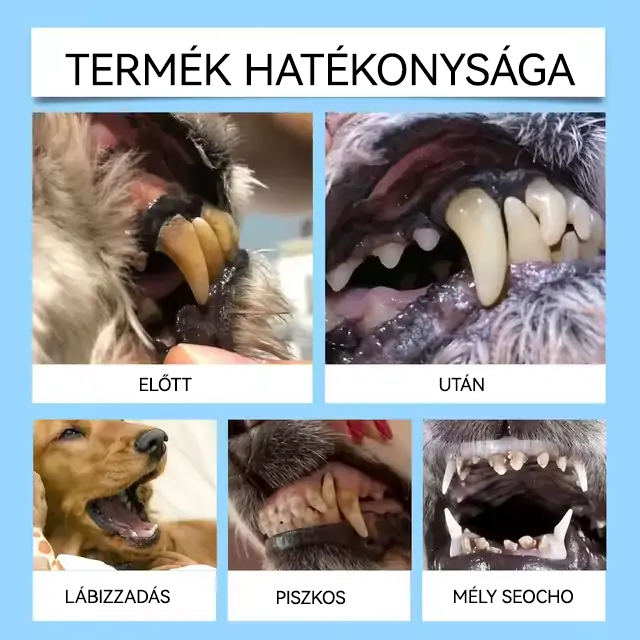✨🐶🐱[ Hivatalos Áruház] Healrize® Állati Fogászati és Emésztési Egészséget Támogató Orális Folyadék – Friss lehelet, fogkő eltávolítása és ínyregeneráció támogatása, a fogak stabilizálása (macskáknak és kutyáknak) – Ma 70% kedvezmény!